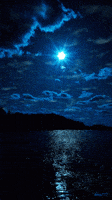 water night GIF