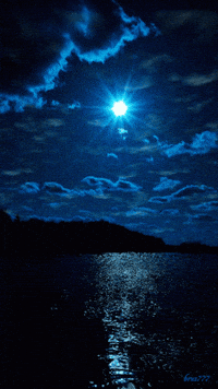Blue Moon Landing Gifs Get The Best Gif On Giphy