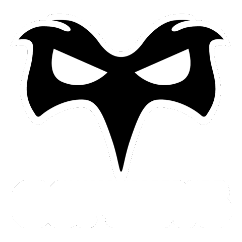 Ospreys Rugby Sticker