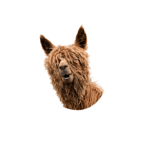 Pfanner Italia Sticker