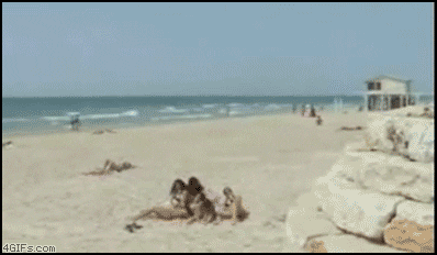 beach fail GIF