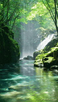 Pipercreations Nature Serenity Trees Waterfall Pond Rocks Fallingleaves  Landscape Beautiful GIF - Find & Share on GIPHY