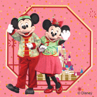 Happy Celebration GIF by Hong Kong Disneyland