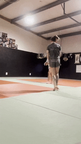 Newasgard GIF by New Asgard Martial Arts