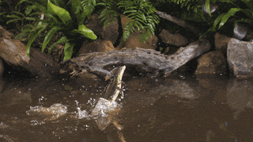 slow motion running GIF by TED
