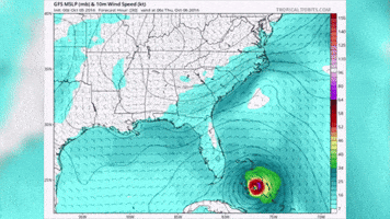 georgemills-9cd1  GIF