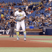 Pitching Tampa Bay Rays GIF by Jomboy Media