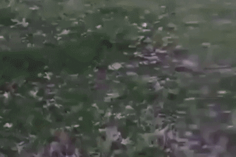 giphy.gif?cid=2154d3d7507f0ba8d25c5b3c49