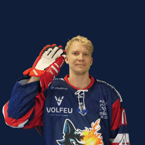 Sport Hockey GIF by BruleursDeLoups