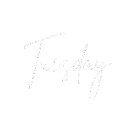 Erasmus Alumni Club Sticker