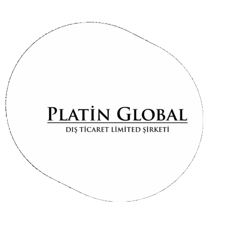 Planet Global Sticker