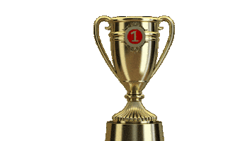 Campeao Sticker by Nacional Handebol