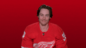Red Wings Sport GIF by Detroit Red Wings
