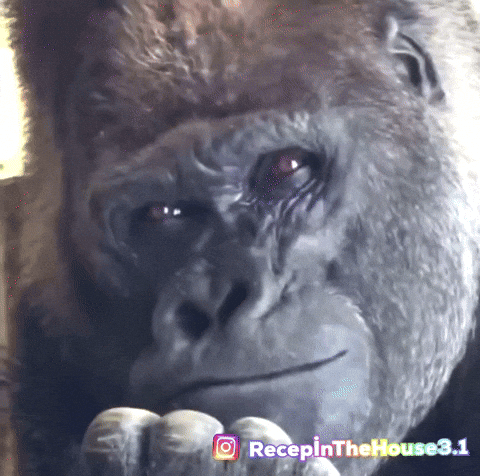 Gorilla Düşünmek GIF