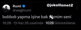 Rumi GIF