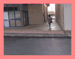 Fid0 GIF