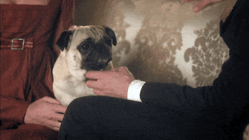 dog love GIF by MASTERPIECE | PBS