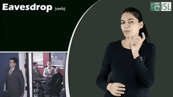 Sign Language Eavesdrop GIF by ISL Connect