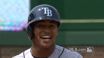 Tampa Bay Rays Smile GIF by MLB
