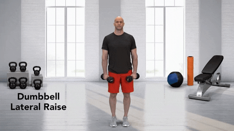 Strength Training GIF - Find & Share on GIPHY