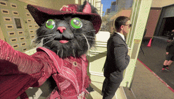 Competition Themaskedsinger GIF by Reality Club FOX