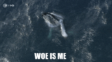 Of Whales and Woe - Wikipedia