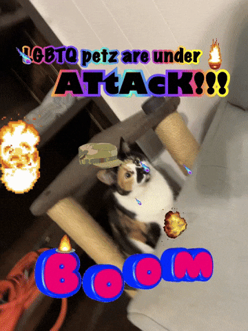 Attack GIF