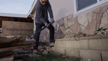 200.gif