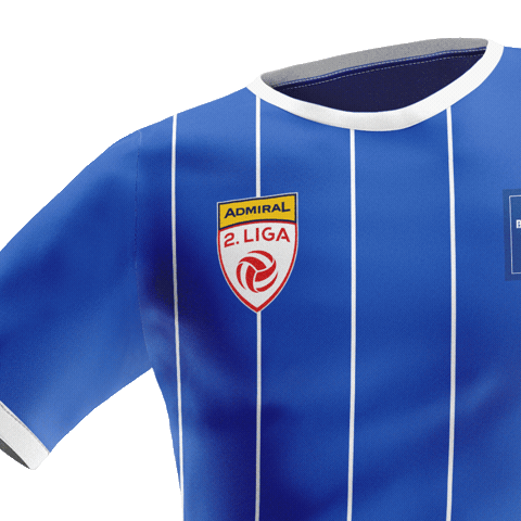 Blau Weiss Zweite Liga Sticker by ADMIRAL