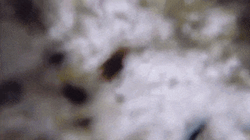 Water River GIF by Creighton University
