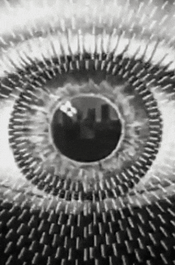 May Black And White GIF by The Pathfinder