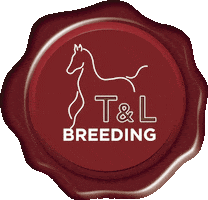 Tl Sticker by My Horse Dealer