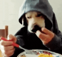 Maybe The Dingo Ate Your Baby GIFs - Find & Share on GIPHY