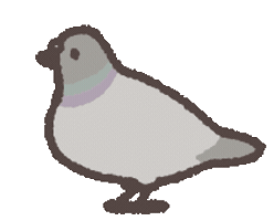 Pigeon Sticker