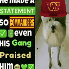 Nfl Commanders GIF