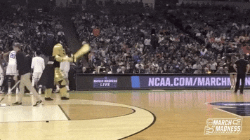 college basketball heelies GIF by NCAA March Madness