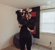 Senthecat GIF