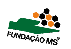 Fundação MS Sticker