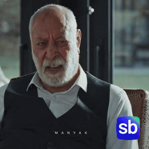 Dizi Sb GIF by Sporbulteni