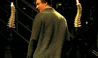Twins GIF