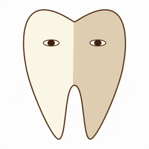 Tooth Whitening GIF by dental_sozai