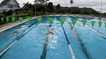Swimming Pool GIF