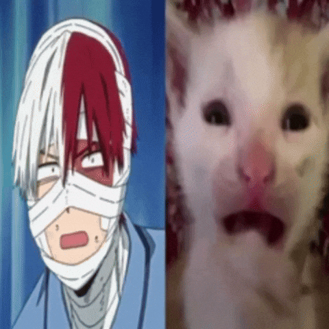 Boku No Hero Academia Shock GIF