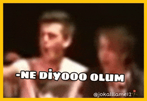 Allame GIF