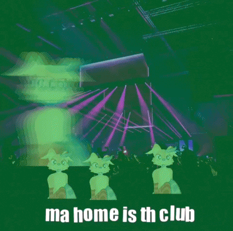 Party GIF