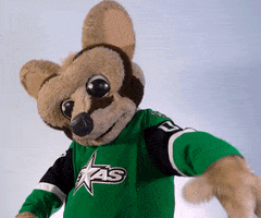 One More Time Reaction GIF by Texas Stars Hockey