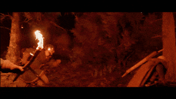 Pearl Abyss Gamer GIF