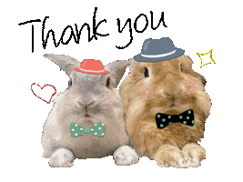 Thanks Bunny Sticker