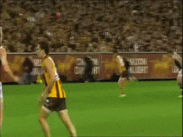 callan  GIF