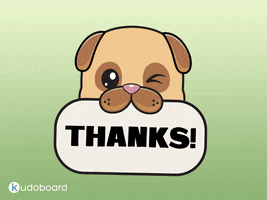 Kudoboard thank you thanks dog gif thanks gif GIF